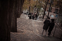 樹,木材,葉