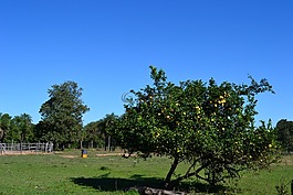 天空,藍(lán)色,性質(zhì)