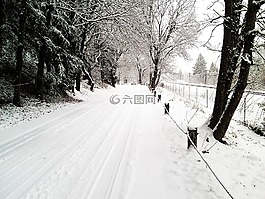 孤獨的路,雪,農(nóng)村公路