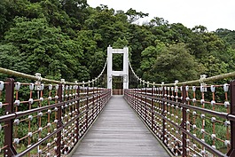 橋,對稱性