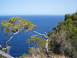 海岸,性質(zhì),地中海