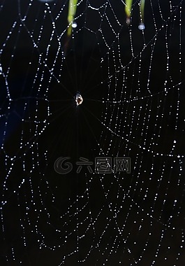 朦朧,web,霧網(wǎng)
