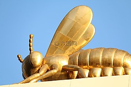 金蜜蜂,蜜蜂,黃金