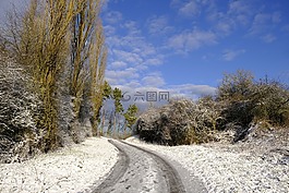 冬天,雪,路