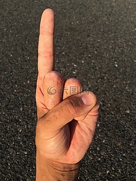 手掌,手,手指