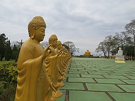 佛,佛教,和平