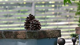 松,hemang 帕特爾,花園