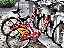 自行車出租,自行車,循環(huán)