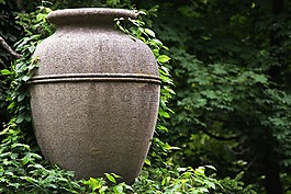 水碗,安菲拉,裝修