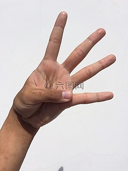 手掌,手,手指