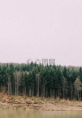 河,水,樹