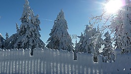 冬天,雪,休息