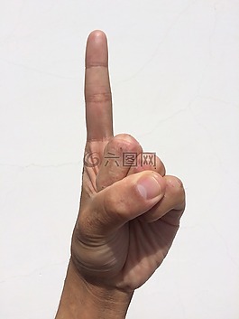 手掌,手,手指
