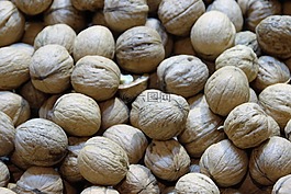 核桃,堅(jiān)果,宏