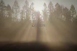 霧,性質(zhì),黎明家庭