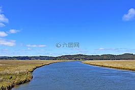 河,稻草,自然