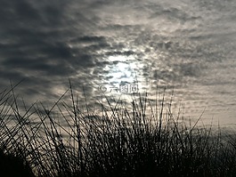 海邊,天空,月亮