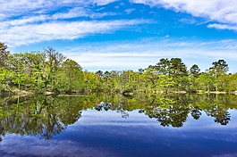 日本,性質(zhì),戶外