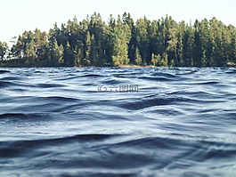 河,水,树