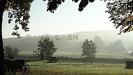背光,霧,秋季