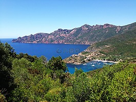 科西嘉,海,景觀