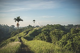 農(nóng)村,路徑,自然