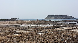 海灘,海,島