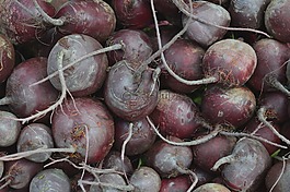 甜菜,蔬菜,原