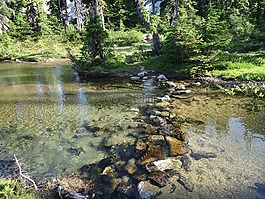 華盛頓州,湖,河