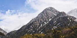 山,天空,樹(shù)