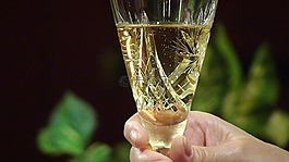 香檳酒,玻璃,手