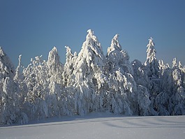雪,冬天,白