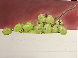 葡萄,繪圖,畫(huà)