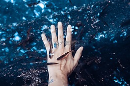 手,棕榈,海
