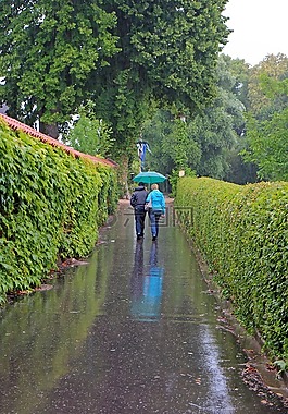 步行,雨,雨下得