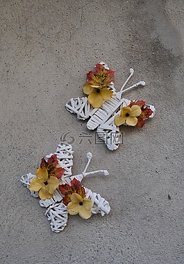 蝴蝶,鮮花,昆蟲(chóng)