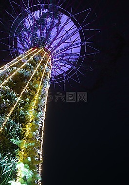 supertree,夜,新加坡