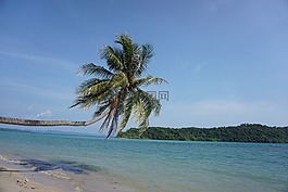 海,水,島