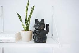 白,家具,室内