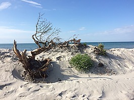 海灘,沒(méi)有壓力,大自然