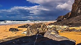 海灘,全景,自然