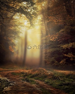 性質(zhì),光,在法院的