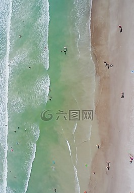海,海洋,水