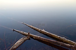 分支機構,湖,水