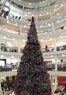 圣誕節(jié),圣誕樹,圣誕