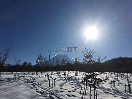 雪,冬季,農(nóng)村