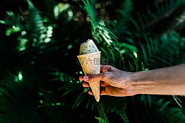 綠色,葉,植物