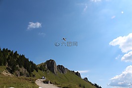 性質(zhì),hoverfly,昆蟲