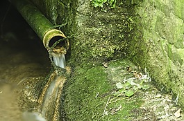 綠色,水,管