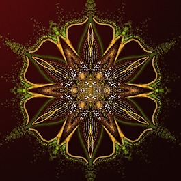 曼陀羅的幻想,對稱性,平等